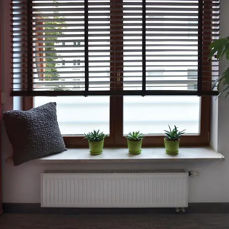 Szucha Apartman *